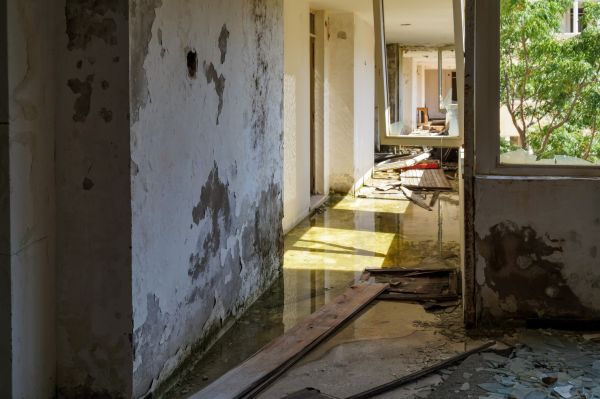 Water Removal Service in Cranston