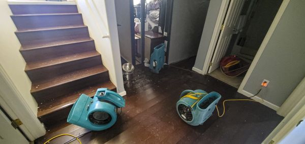 Water Damage Remediation in Cranston